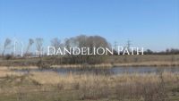 The Dandelion Path