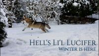 Hell's Li'l Lucifer - Winter is here